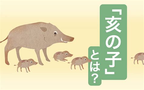 亥日|亥の子の意味や由来・過ごし方は？ 祭りや餅などの文化につい。